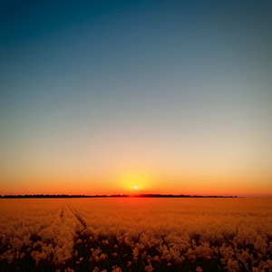 国产精品一线天在线观看
